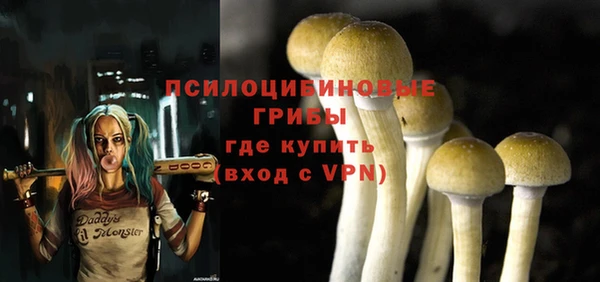 а пвп мука Арсеньев