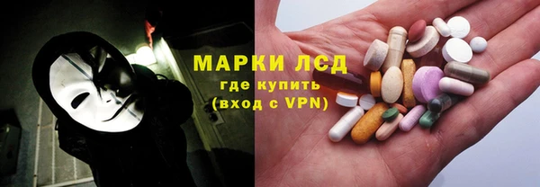 гидра Аркадак
