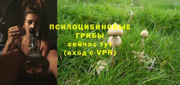 а пвп мука Арсеньев