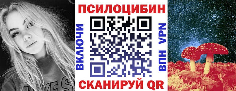 Псилоцибиновые грибы Psilocybe  купить наркотики сайты  это клад  Новоржев 