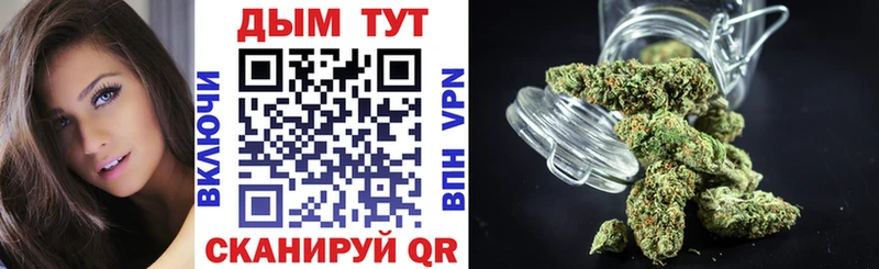 Каннабис гибрид  Новоржев 